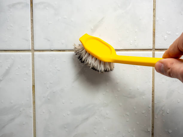 Best Commercial Mold Removal  in Hudson, NC