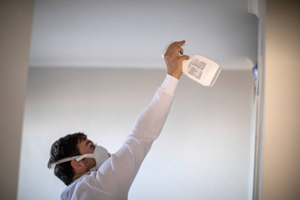Best Crawl Space Mold Removal  in Hudson, NC