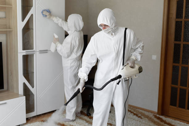 Home Mold Removal in Hudson, NC