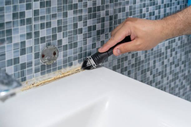  Hudson, NC Mold Removal Pros