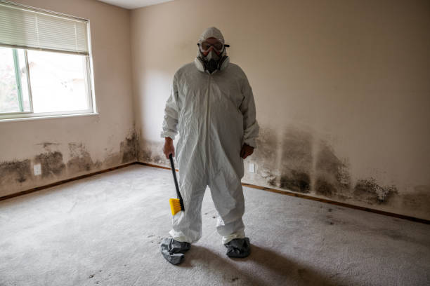Best Certified Mold Removal  in Hudson, NC